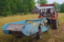Wykopki u Gienka i Andrzeja z Plutycz. ”Ekologia za dychę” [WIDEO]
