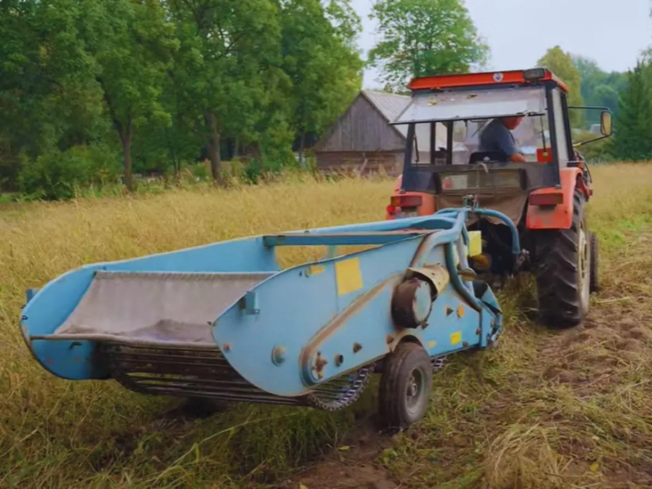 Wykopki u Gienka i Andrzeja z Plutycz. ”Ekologia za dychę” [WIDEO]