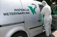 Lekarze weterynarii będą zarabiać więcej. Ile mają dostać za godzinę?