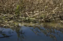 Opolskie, okolice Nysy Kłodzkiej i Głuchołazów.
