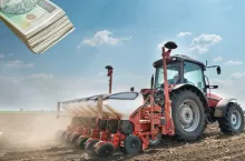 Jakie odmiany buraka cukrowego na 2025 rok? Zalecenia cukrowni