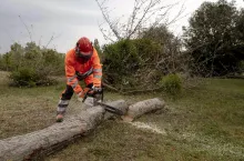 Narzędzia leśne Kramp: kompleksowe wyposażenie na jesień