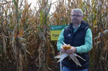 Kukurydza Tipico; Fot. Katarzyna Szulc