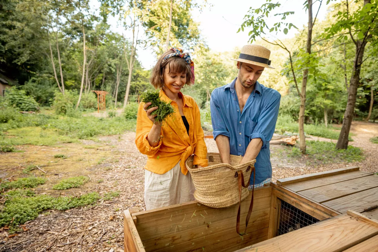 Peelings and organic waste in a wooden crate to create homemade compost.