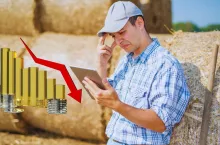 Dopłaty bezpośrednie dużo niższe. Jak tłumaczy się ministerstwo rolnictwa?