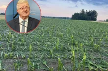 Gradobicie zniszczyło rolnikom uprawy