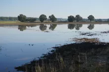 Czy powódź i obfity deszcz stanowi okoliczność, za które żadna ze stron nie ponosi odpowiedzialności?