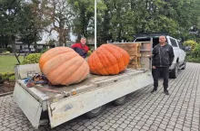 Finał 13. edycji Konkursu Uprawy Dyni Olbrzymich w Grzybnie rozstrzygnięty.