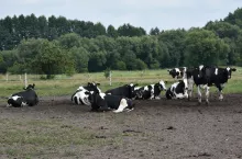 – W naszej spółce wszystko będzie jawne, nie tak jak w spółce Polska Federacja Sp. z o.o., gdzie od kilku lat zarobki władz tej spółki są ukrywane – mówi Tomasz Cieślik.