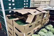 Importowane ogórki z Rosji