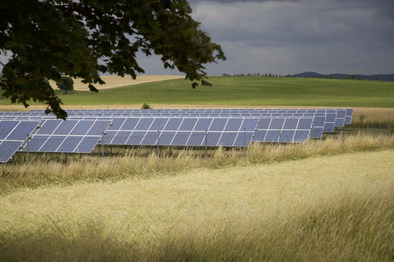 Masowa popularność instalacji fotowoltaicznych spowodowała destabilizację pracy systemów energetycznych.