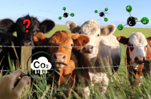 Od stycznia 2025 wchodzi w życie obowiązek ESG (Environmental, Social, Governance) na podstawie dyrektywy CSRD, która wprowadza obowiązek raportowania wpływu dużych przedsiębiorstw na środowisko, w tym redukcji emisji GHG nie tylko samego producenta, ale również jego łańcucha dostaw.