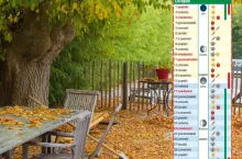 Kalendarz biodynamiczny na listopad 2024 - kiedy i jakie prace wykonać w ogrodzie?