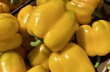 Papryka żółta w kartonach