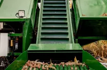 Selektor rdzeni kolb kukurydzy – jak to działa