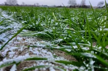 W niektórych rejonach kraju rankiem odnotowano ujemne temepratury przy gruncie.