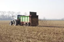 Do kiedy wywozić obornik, gnojowicę i gnojówkę na pole?