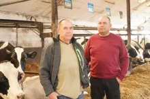 Na zdjęciu Marcin Kaźmierczak z ojcem Kazimierzem, długoletnim i cenionym hodowcą bydła mlecznego