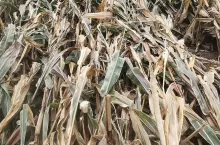 wiatr, wichura, trąba powietrzna