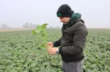 Michał Kaziuk na plantacji rzepaku