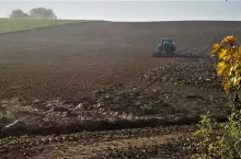 Czasami potrzebne są oględziny miejsca, by wydać decyzję o przeniesieniu własności w drodze zasiedzenia.