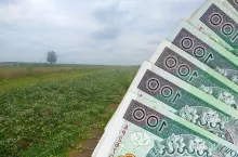 Rolnicy, u których po 10 września wystąpiły szkody np. w wyniku gradu muszą się spieszyć ze złożeniem wniosku.