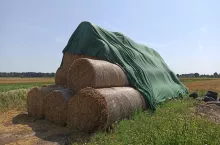 776880