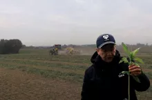 Poplony - jakie wady i zalety widzą rolnicy? Co z ekoschematami? [WIDEO]