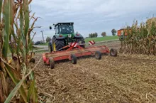 Rozdrobnione resztki kukurydzy za pomocą mulczera, fot. P. Bereś