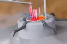 Inseminacja jest standardową praktyką w większości gospodarstw mlecznych, mało które gospodarstwo w rozrodzie posiłkuje się buhajem i kryciem naturalnym. Na powodzenie inseminacji wpływa nie tylko zdrowie krowy, inseminacja w odpowiednim okienku, ale równie duży wpływ ma proces inseminacji i obchodzenie się z nasieniem buhaja podczas przygotowania do zabiegu.