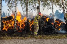 Za pożarami stogów stał 33-latek, który został tymczasowo aresztowany przez sąd.