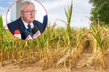 Pomoc suszowa: dużo mniej rolników złożyło wnioski. Ale pieniądze dostaną nieliczni