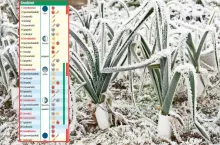 Kalendarz biodynamiczny – grudzień