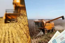 3000 zł straty na kukurydzy, 800 zł straty na jęczmieniu. Rolnicy pod dużą kreską