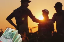 Ile produktów przez grupę producentów rolnych musi sprzedać jej członek?