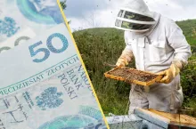Dopłaty do pszczół. Rolnicy mają więcej czasu na złożenie wniosku w ARiMR