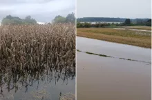 Rolnicy apelują o przedłużenie naboru wniosków w ARiMR. ”Są rozbieżności w systemie”