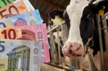 ceny mleka, rolnictwo, wiadomości rolnicze, UE