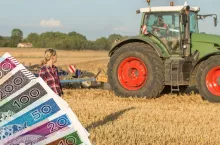 Dopłaty bezpośrednie: punkty za ekoschematy obcięte. Rolnicy dostaną mniej pieniędzy za 2025 rok