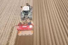 Sadzenie ziemniaków 2022