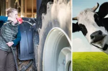 Zwrot akcyzy za paliwo rolnicze: wzrośnie limit bydła?