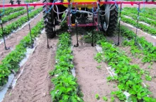 ​Ekoschematy 2025: będą nowe dopłaty dla rolników. Za co i jaka stawka?