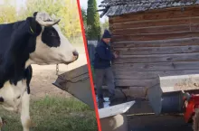 Andrzej z Rolnicy. Podlasie szokuje pojeniem krów. ”Wodę z gnojem dał”