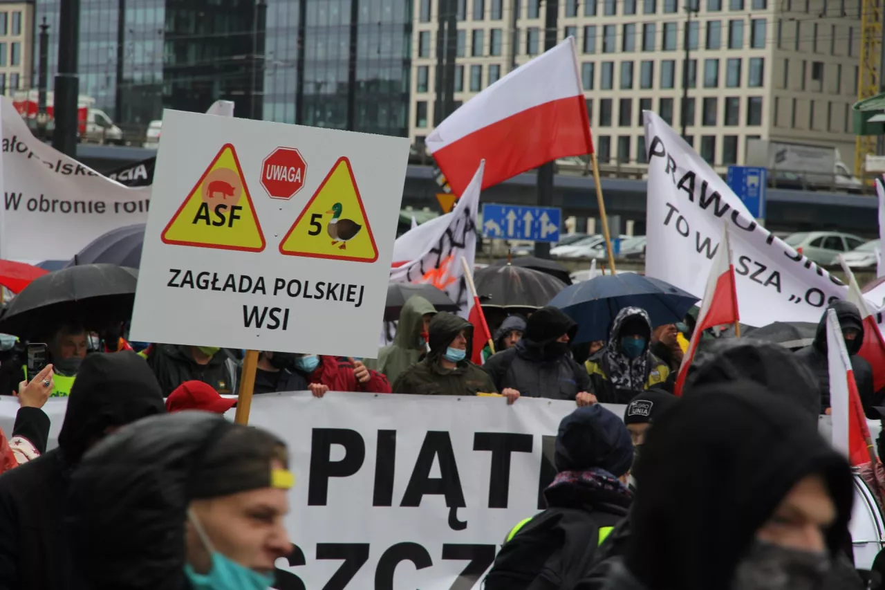 Nowa ”Piątka dla zwierząt” w Sejmie. Duże zagrożenie dla rolników