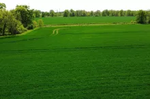 DCIM100MEDIADJI_0861.JPG