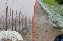 Rolnicy załamani dopłatami z ARiMR. ”Można grosza nie dostać”