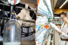 Dochody rolników produkujących mleko niższe o 1/3. Pomogą limity marek własnych?