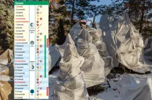 Kalendarz biodynamiczny na styczeń 2025. Co wykonać w ogrodzie i domu?