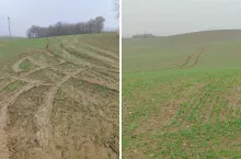 Bandziory rozjechały rolnikowi pole