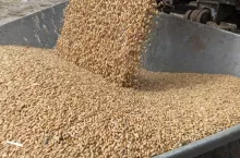 776113
